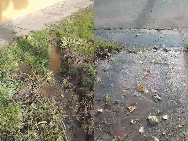 En 45 y 132 se quejan por una pérdida de agua desde hace más de dos semanas