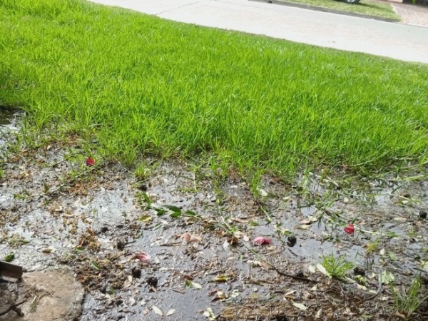 En 503 y 14, un vecino reclamó por una enorme pérdida de agua que afecta la entrada de su casa