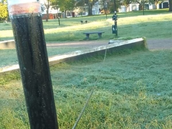 Un cable de luz en medio de una plaza de La Plata generó el malestar de los vecinos