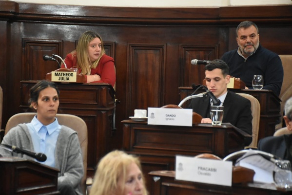 Tres concejales radicales de La Plata votaron junto a Unión por la Patria el repudio al "negacionismo de Milei"