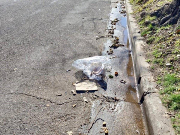 “Hace mucho tiempo que no vemos pasar gente barriendo”: Vecinos reclaman la limpieza en calle 521 entre 6 y 7