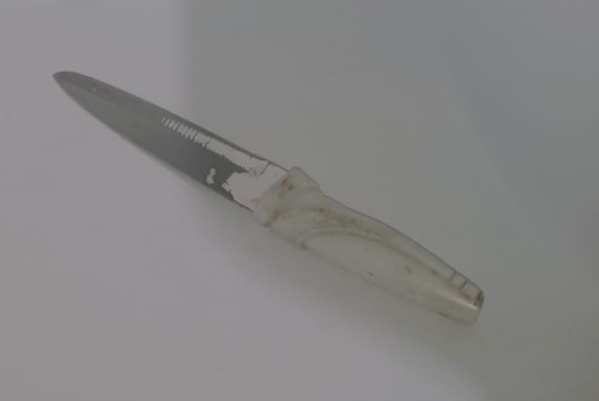 Con un arma blanca, quisieron asaltar un negocio en Villa Elisa