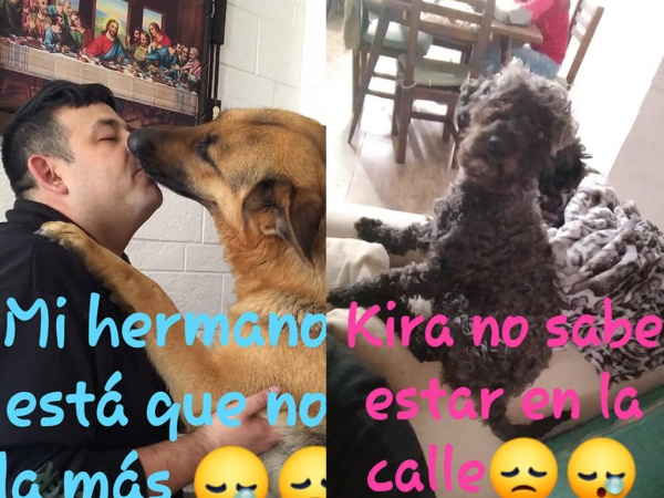 Athena y Kira se escaparon en La Plata y su familia las busca con desesperación: “Se aman y seguro se cuidan una de la otra"