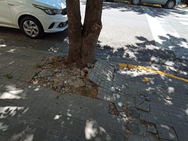 Mal estado en las veredas de 11 y 45: "Varias personas mayores ya se cayeron"