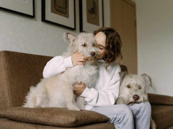 Una buena para las mascotas: buscan que sean aceptadas en todos los departamentos