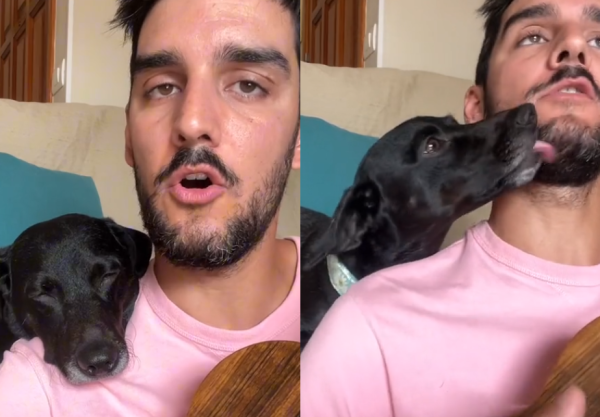 “Está prohibida una palabra”: un joven creó una canción sobre lo que no puede decir y la reacción de su perra se hizo viral