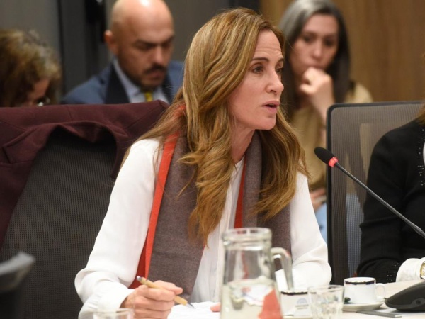 La mujer que agredió y amenazó a Tolosa Paz le pidió disculpas públicas: "Estoy muy arrepentida, la diputada fue muy cordial"