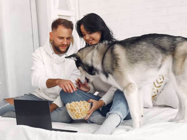 Cambios en las familias: caída de la natalidad y el fenómeno de los “perrhijos”