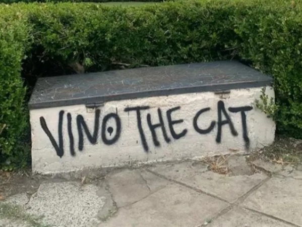 "Vino The Cat": el arte callejero que marca territorio en La Plata