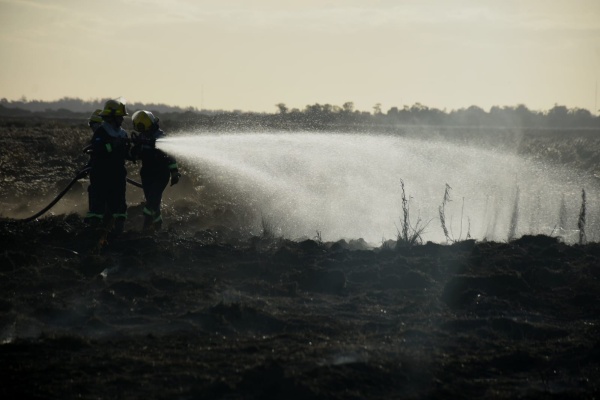 Se activaron focos de incendio en la Reserva de Punta Lara