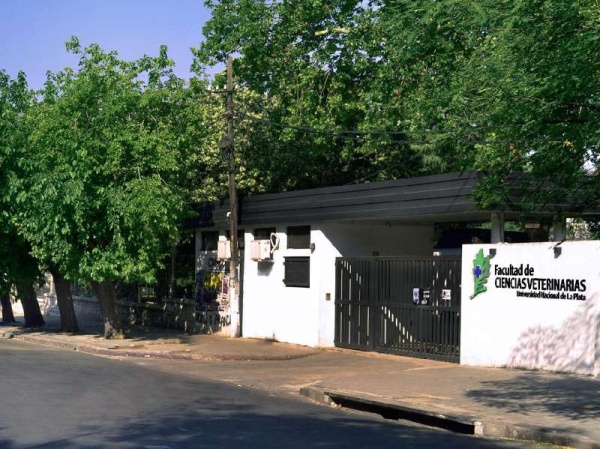 Balearon a un perro en la cabeza para robarle a una pareja de jubilados: piden ayuda para costear su internación