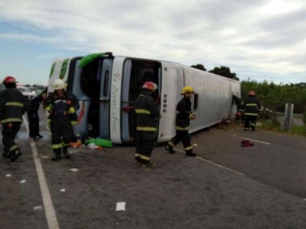 Qué dicen las primeras pericias sobre cómo ocurrió el trágico accidente del micro en la Ruta 2