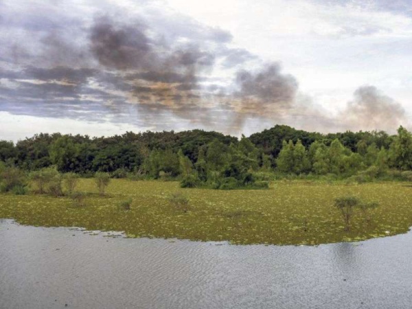 Cierran la Reserva Ecológica para determinar las causas de los incendios