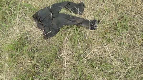 Horror en La Plata: Hallan una cabeza colgada de un &aacute;rbol y el cuerpo desmembrado en el piso