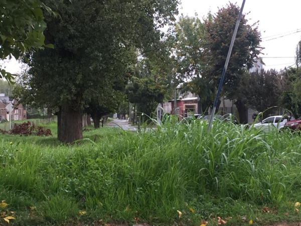 Escudero presentó un pedido de informe sobre la situación del dengue en la cuidad de La Plata