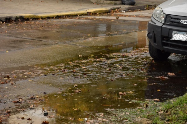 Pérdida de agua generó una ola de mosquitos en 9 y 33, y temen por el dengue
