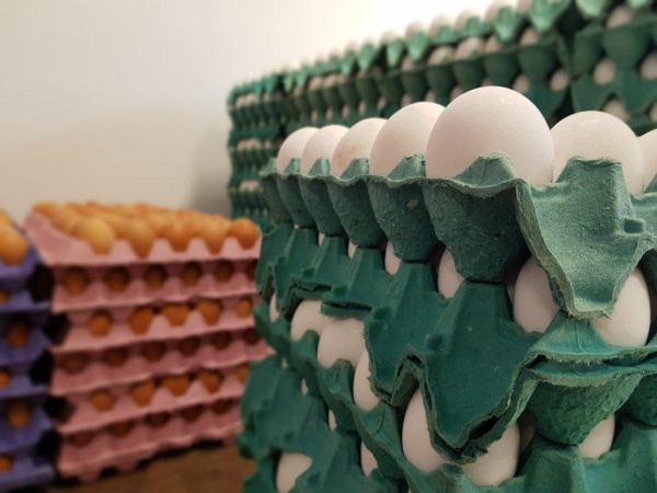 Escasez de huevos en La Plata: Almaceneros explicaron las dos razones de esta situación