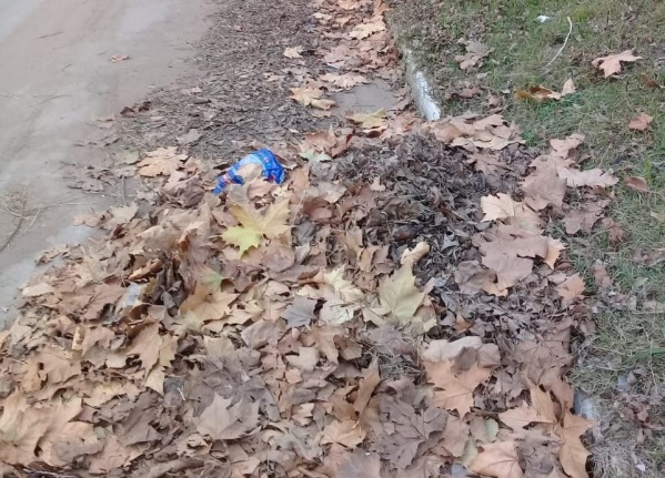 El otoño se siente en La Plata y un concejal ya alertó por la obstrucción de los desagües