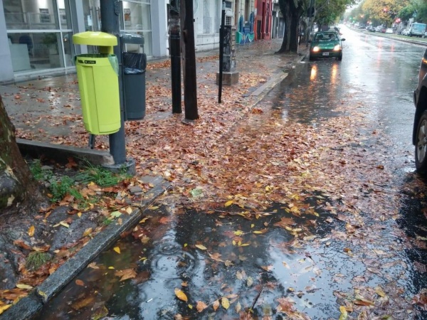 Insólito: Bocas de tormenta de La Plata quedaron totalmente tapadas en medio de las lluvias