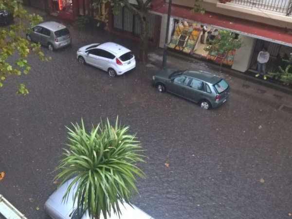 Sin barrido: tormenta fuerte en La Plata y otra vez los sumideros tapados con hojas