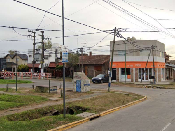 Un vecino pod&oacute; un &aacute;rbol y provoc&oacute; un corte de luz en dos barrios platenses