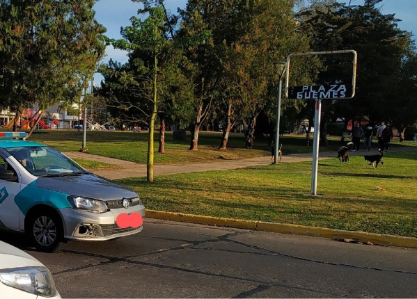 Caminatas y niños en los juegos: una patrulla municipal miró para otro lado en 19 y 38