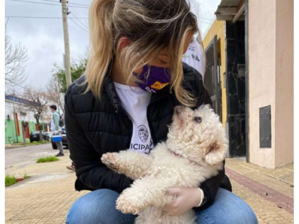Junto a los animales platenses en la cuarentena: El impresionante trabajo de la Municipalidad