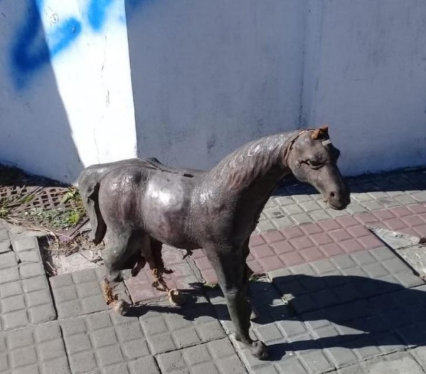 Caballo suelto en La Plata: robaron una estatua del Pasaje Dardo Rocha y salieron corriendo