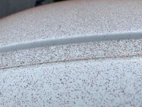 En un pueblo de Suiza cayó nieve de chocolate