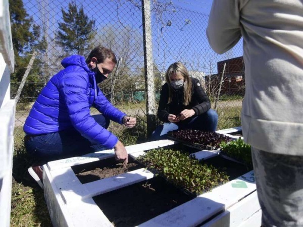 Más de 10 barrios platenses tienen huertas comunitarias: continúa la instalación en instituciones sociales