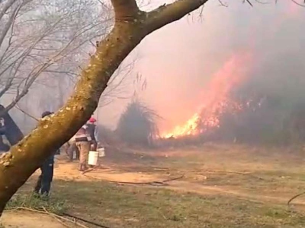 Los vecinos del Delta Paraná intentan frenar los incendios con baldes de agua