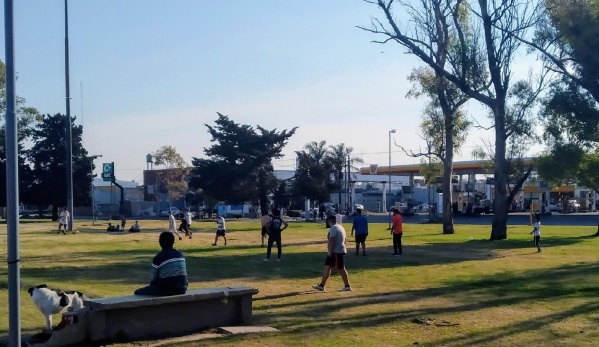 Vecinos se quejan de que nadie frena a los runners y los &quot;picaditos&quot; de fútbol en La Plata
