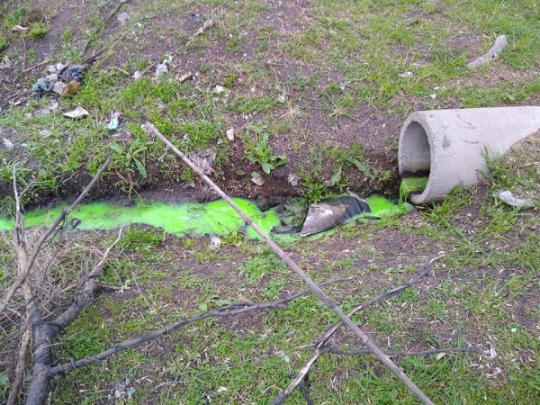 Apareció un misterioso líquido verde en Berisso y el municipio se durmió 24 horas