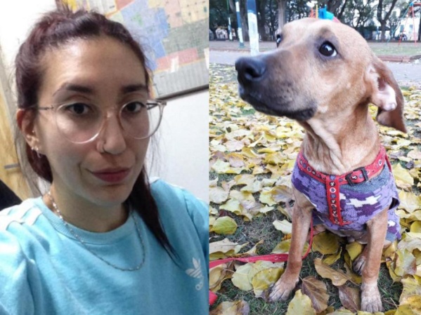 Adoptó a una perrita en La Plata y se la encontraron maltratada y hambrienta: &quot;Me rompió las plantas, yo la tenía que adiestrar&quot;