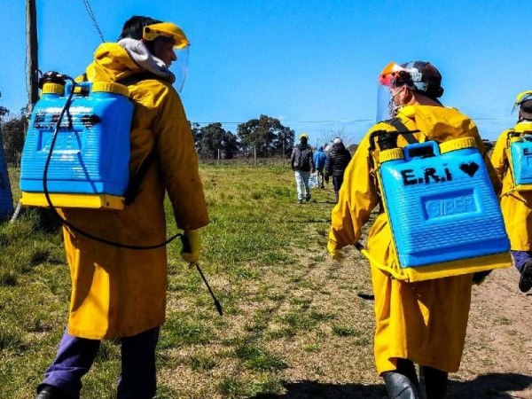 Se superaron los 12 mil contagios por COVID-19 en La Plata