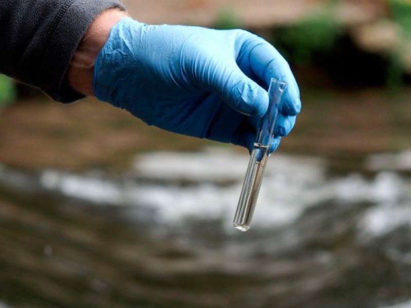 Alerta en los Estados Unidos por la aparición de una ameba &quot;comecerebros&quot; en la red de agua