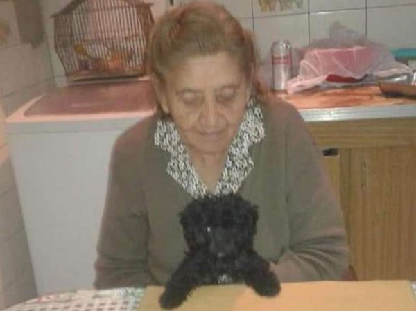 Tiene 90 años, sufre Alzheimer y necesita recuperar a su perrito perdido en La Plata: &quot;No para de llorar y pregunta todos los días por él&quot;