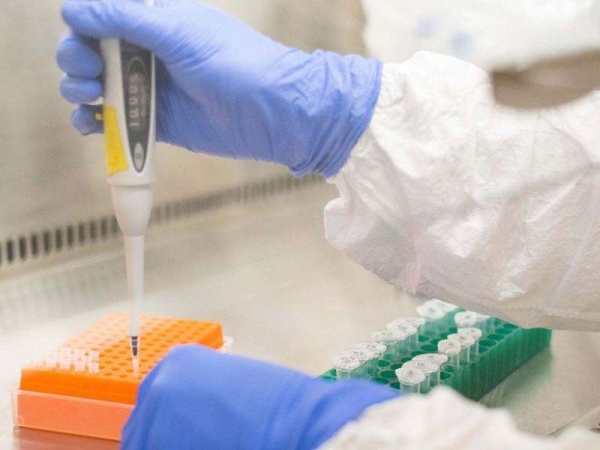 Científicos de Argentina, Brasil y Francia buscan desarrollar una vacuna oral contra el COVID-19 