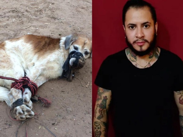 Indignación en Paraguay por el abandono a un perro amordazado y atado con cables en un baldío