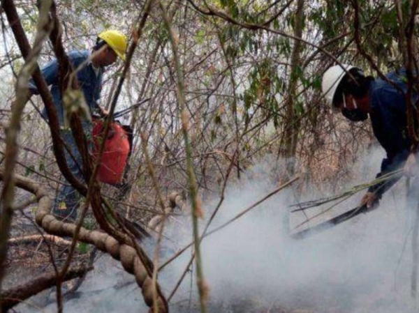 A causa de los incendios, se complicó la situación en Jujuy y San Luis y hay evacuados en Córdoba