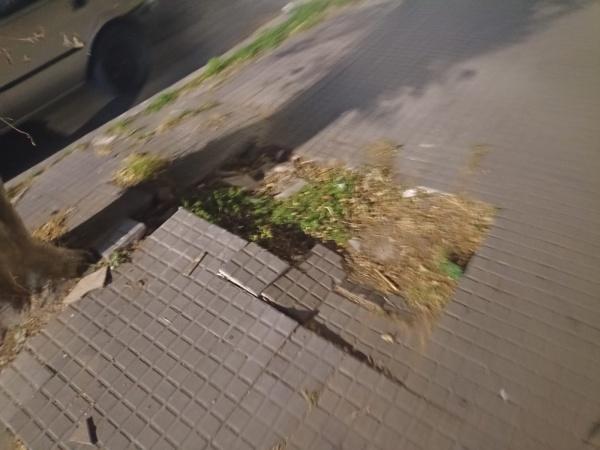 Vecinos de 10 entre 42 y 43 reclaman por una vereda rota que genera caídas en personas mayores