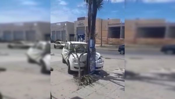 En San Carlos un hombre se qued&oacute; sin frenos y choc&oacute; un &aacute;rbol