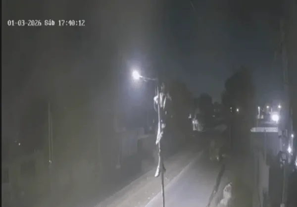 Delincuente se sube a los postes y se roba las luces del alumbrado p&uacute;blico platense