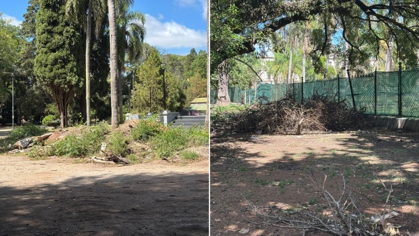 Un vecino platense se quej&oacute; por las ramas y basura acumulada en el Parque Saavedra