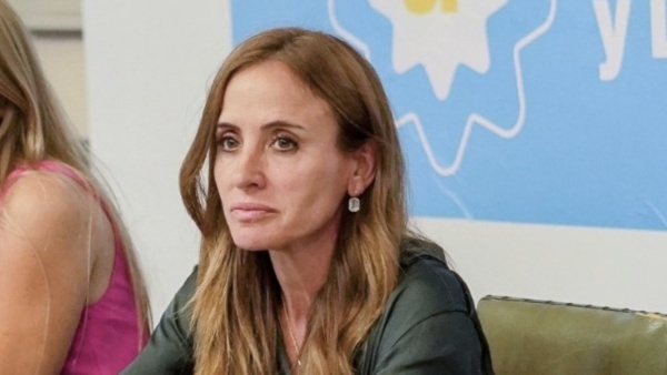Tolosa Paz: &ldquo;Junto a otros bloques buscamos una soluci&oacute;n para ayudar a los argentinos varados en el exterior&rdquo;