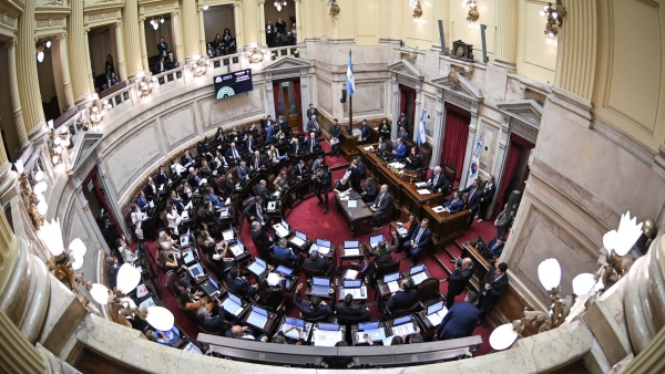 Senado abre el debate por la reforma de Salud Mental: internaciones involuntarias y adicciones como enfermedad