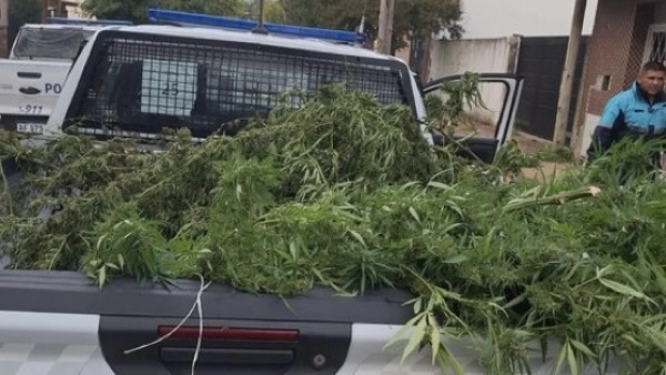 Cay&oacute; en La Plata un empleado de la DGCyE por violencia de g&eacute;nero: ten&iacute;a 31 tablets del Estado y 6 kilos de marihuana