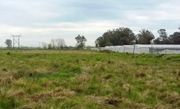 Entradera rural en el barrio El Peligro de La Plata: golpearon a dos adolescentes y se fugaron por los campos