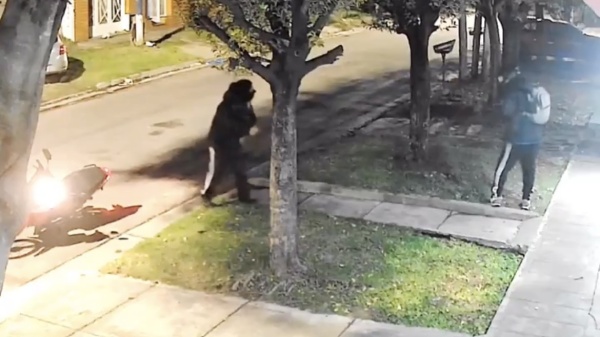 "Lo tiraron de la moto y se la llevaron": el robo brutal en La Plata qued&oacute; filmado