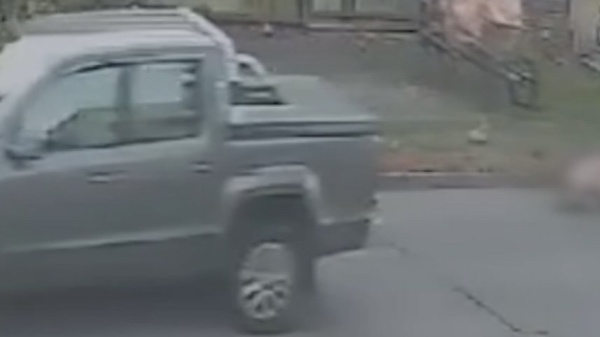 Atropell&oacute; a un hombre en La Plata, escap&oacute; y ahora qued&oacute; imputado: la v&iacute;ctima sigue en estado cr&iacute;tico